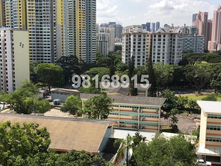 Blk 8B Boon Tiong Arcadia (Bukit Merah), HDB 4 Rooms #150828262